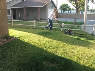 9 Lawn Care Tips Every Homeowner Should Consider During Summer